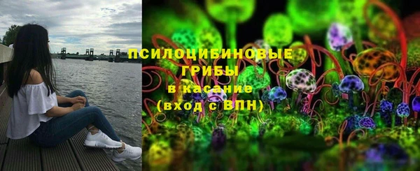 Альфа ПВП Россошь