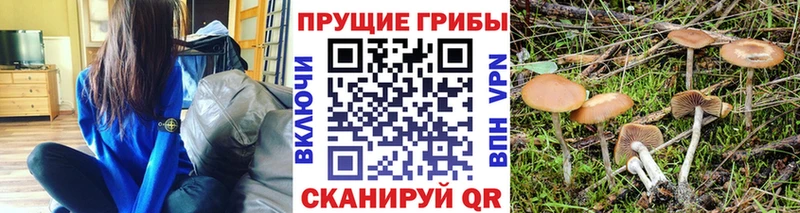Галлюциногенные грибы ЛСД  купить наркотик  Рудня 
